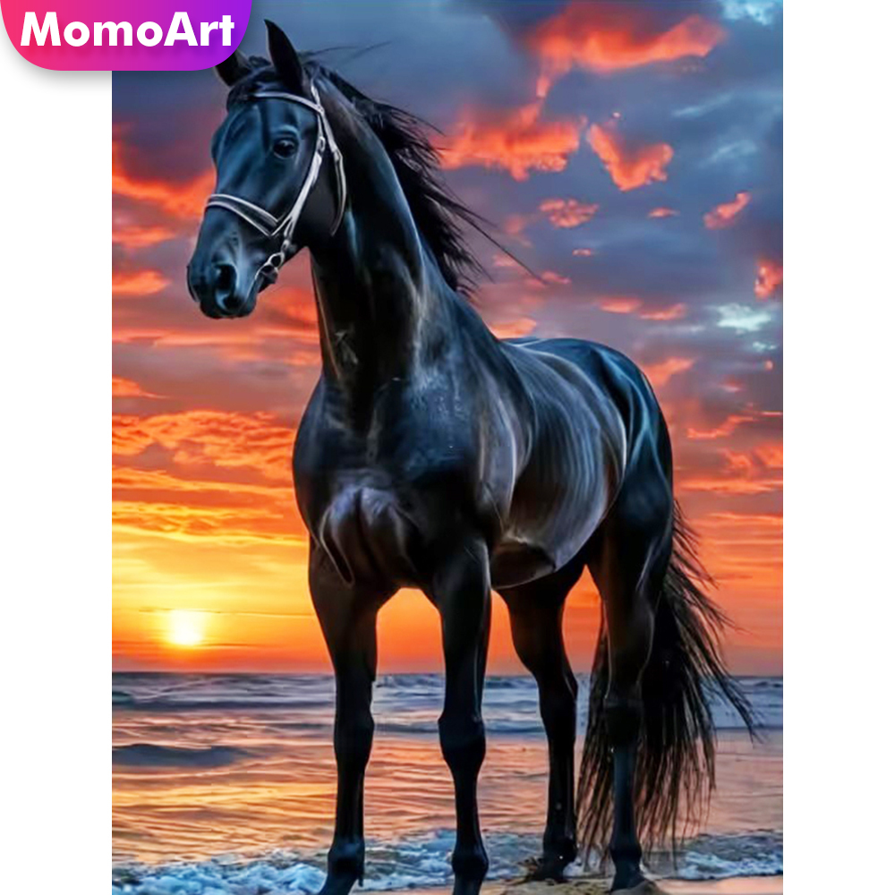 Momoart Diamond Painting Horse – Embroidery Horse recenzja i cena